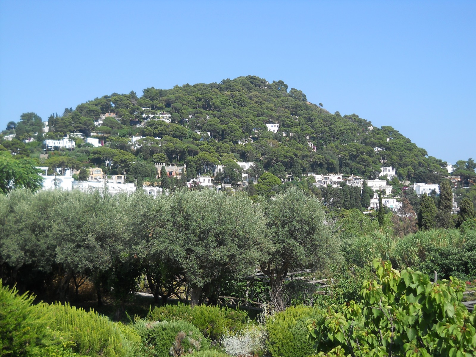 248371-3b.jpg