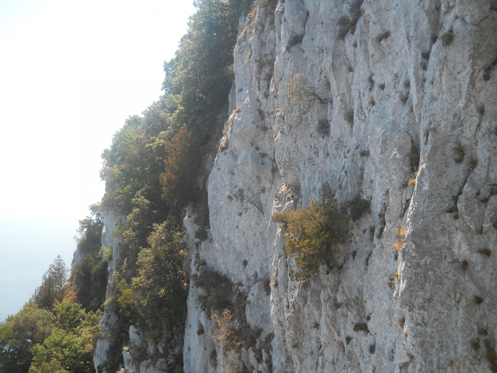 248382-13.jpg