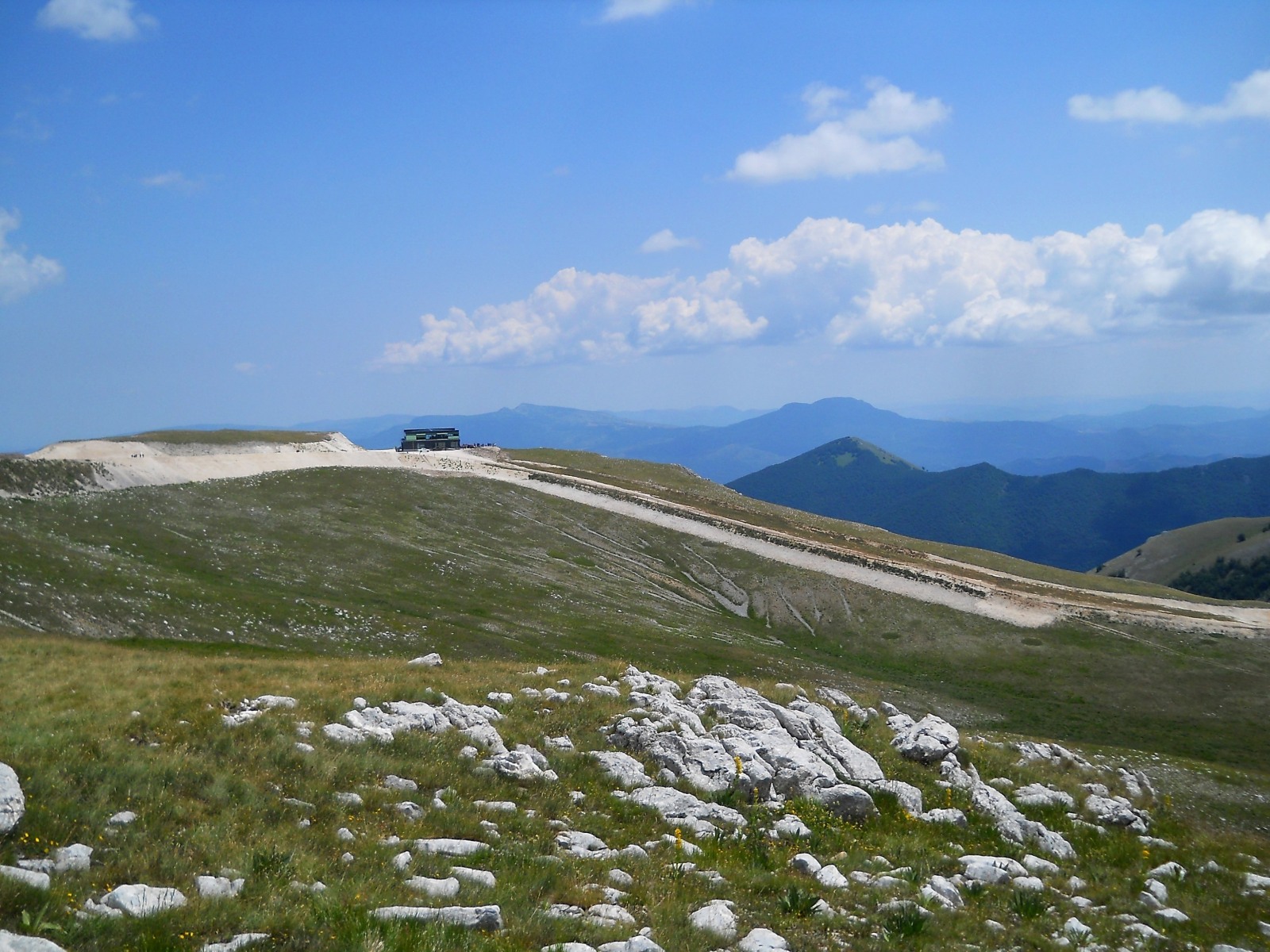 248403-5.jpg