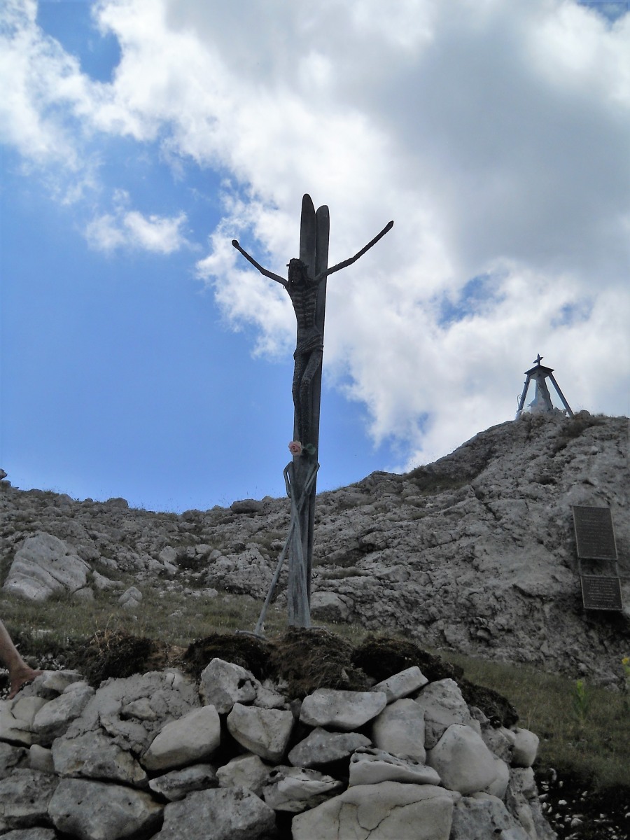 248406-8.jpg