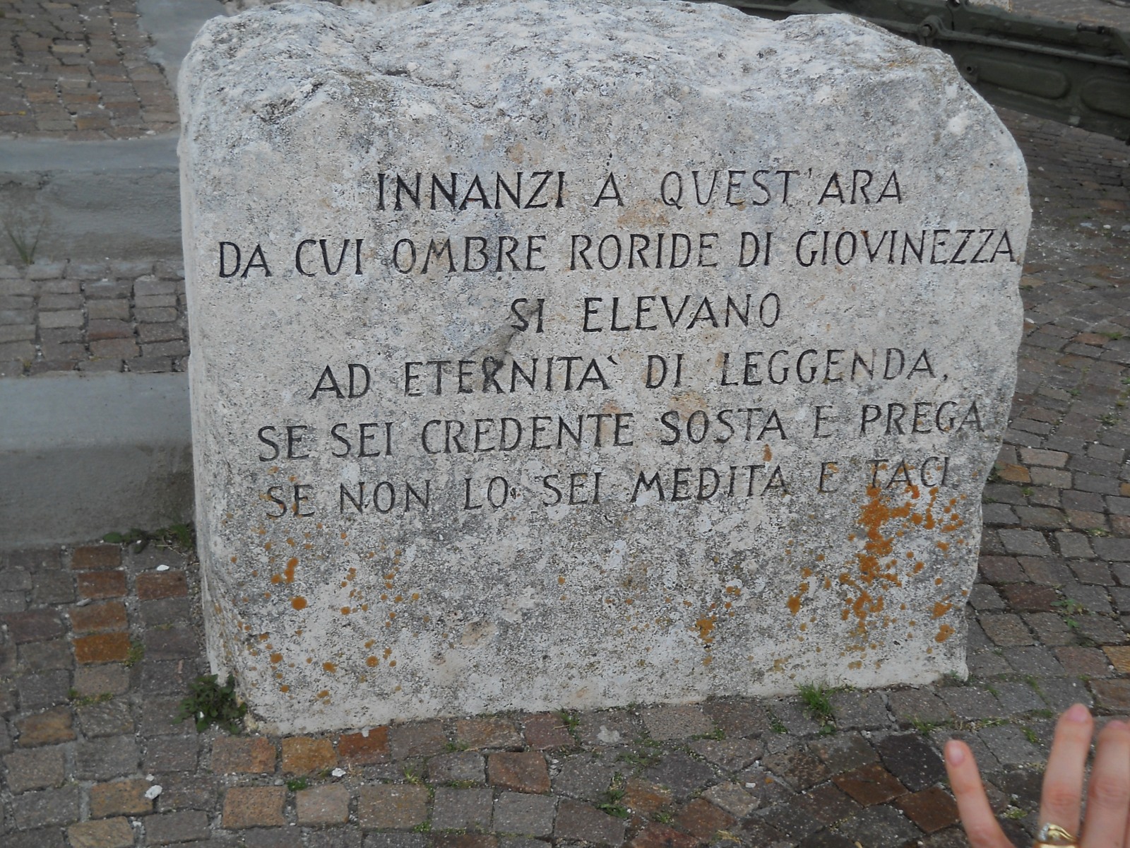 248444-43.jpg