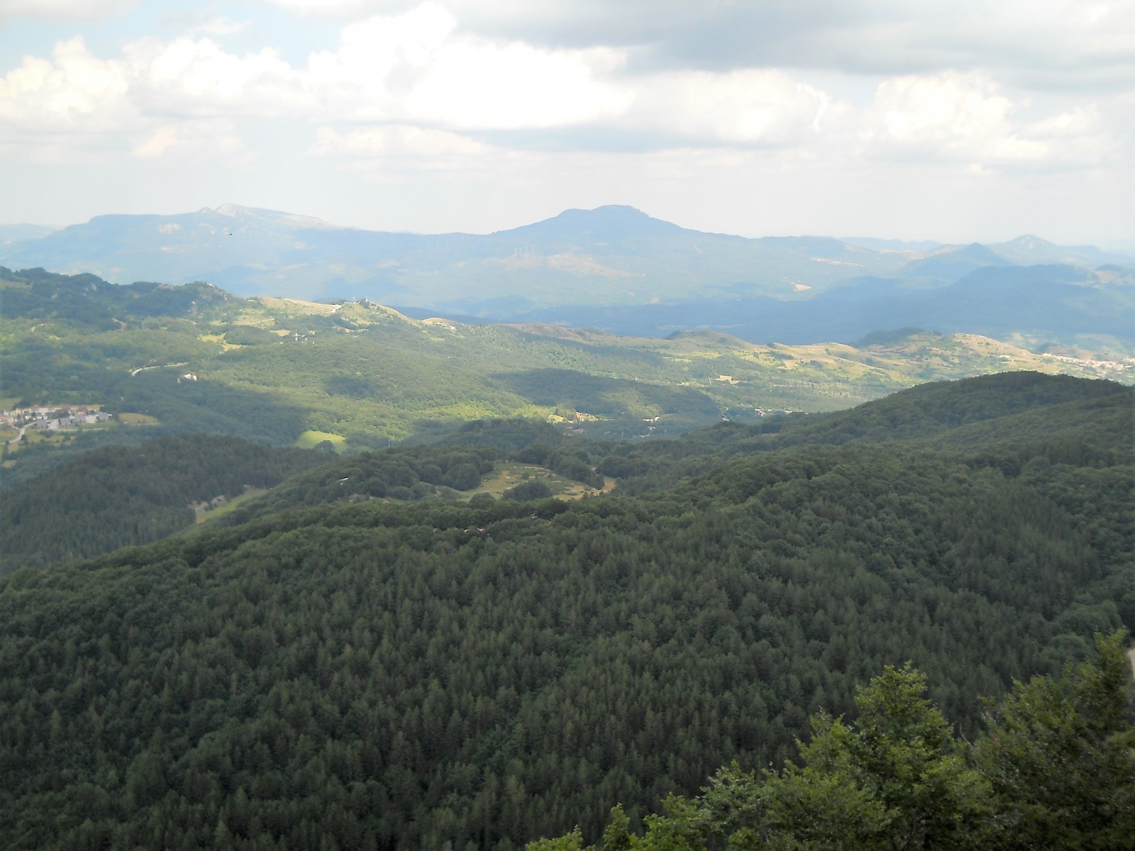 248448-47.jpg