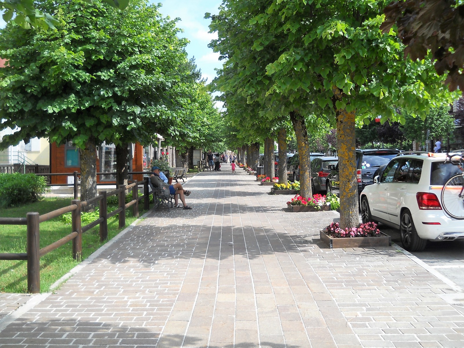 248449-48.jpg