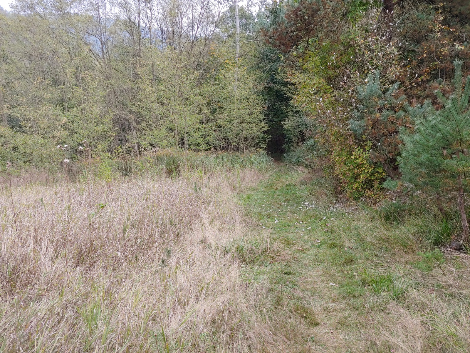 252127-20191006152632.jpg