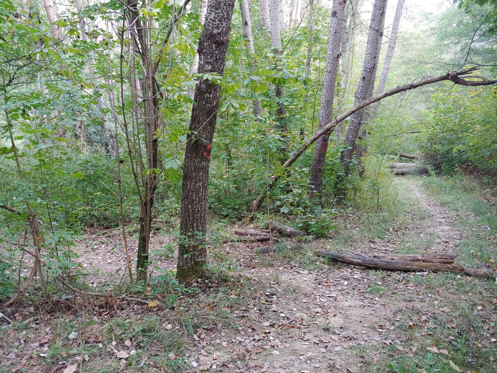 252128-20191006152338.jpg