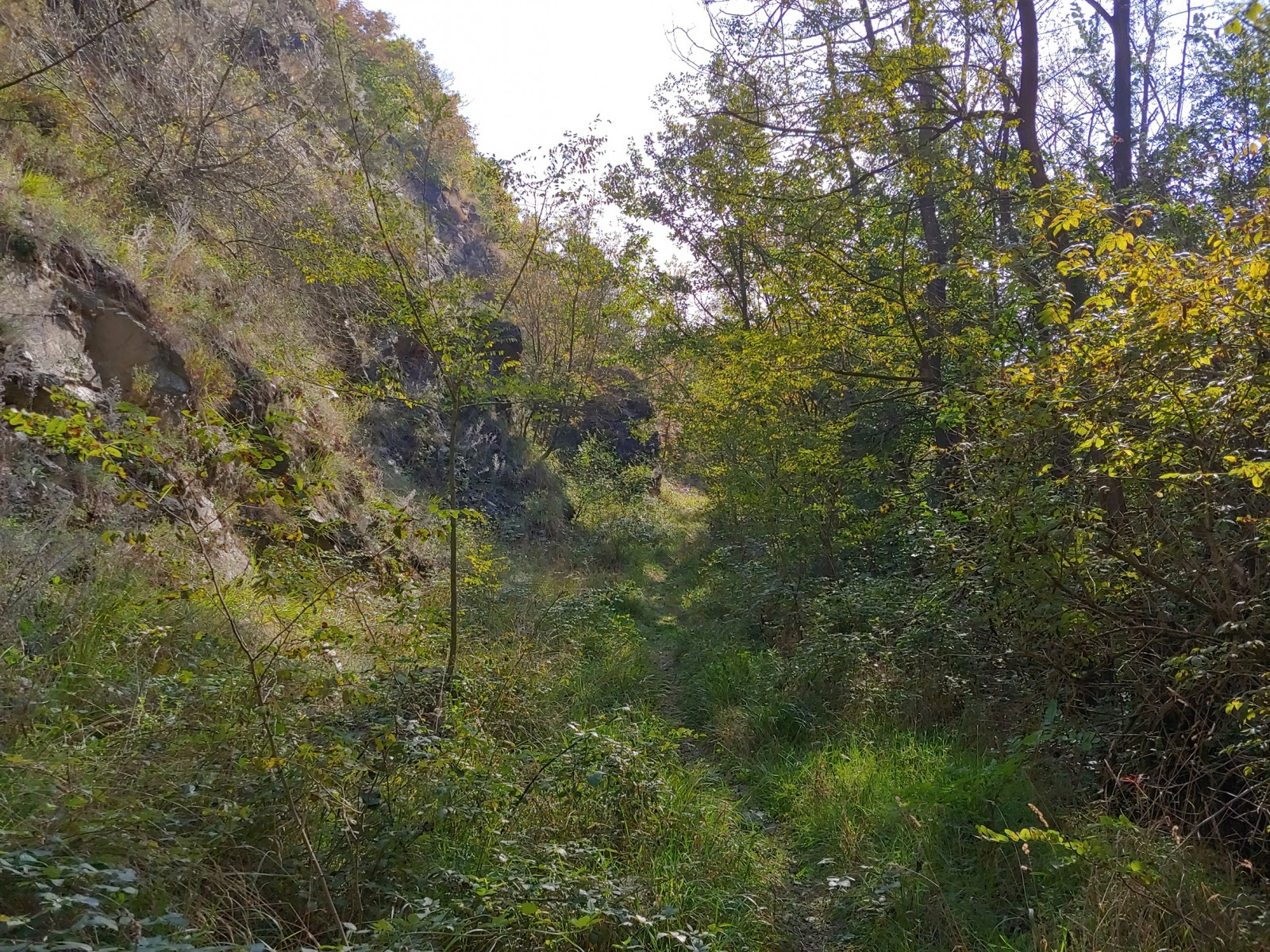 252132-20191006133106hdr.jpg
