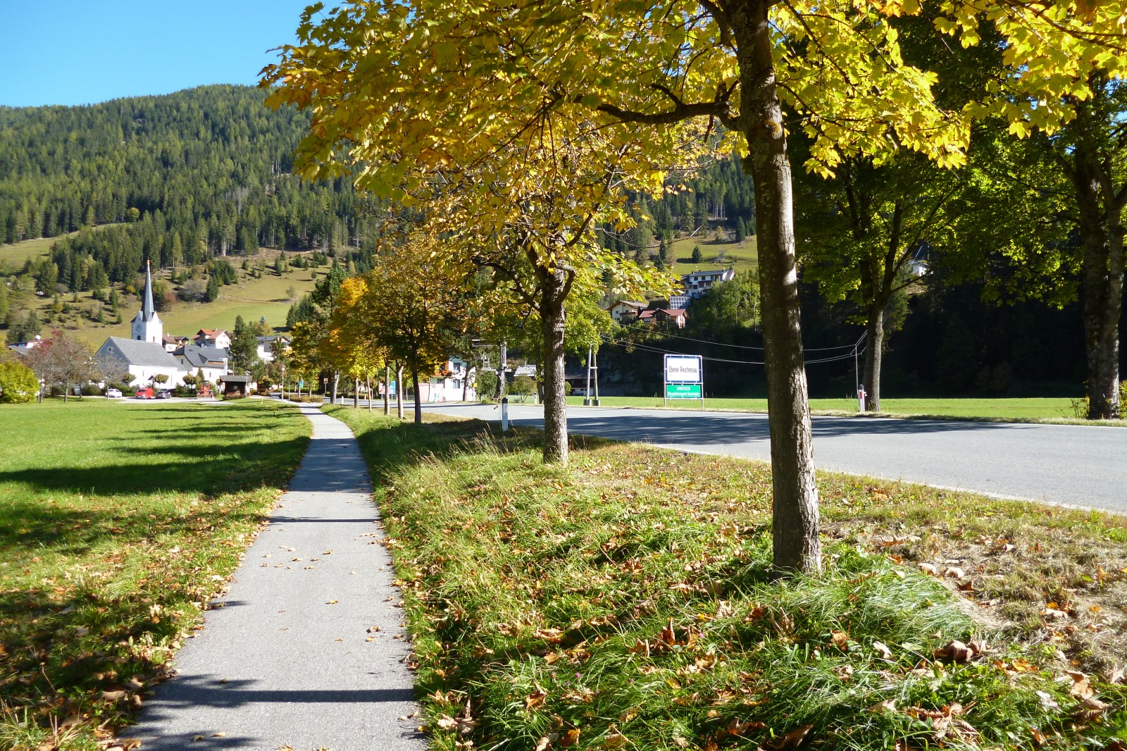 252392-p1010548.jpg