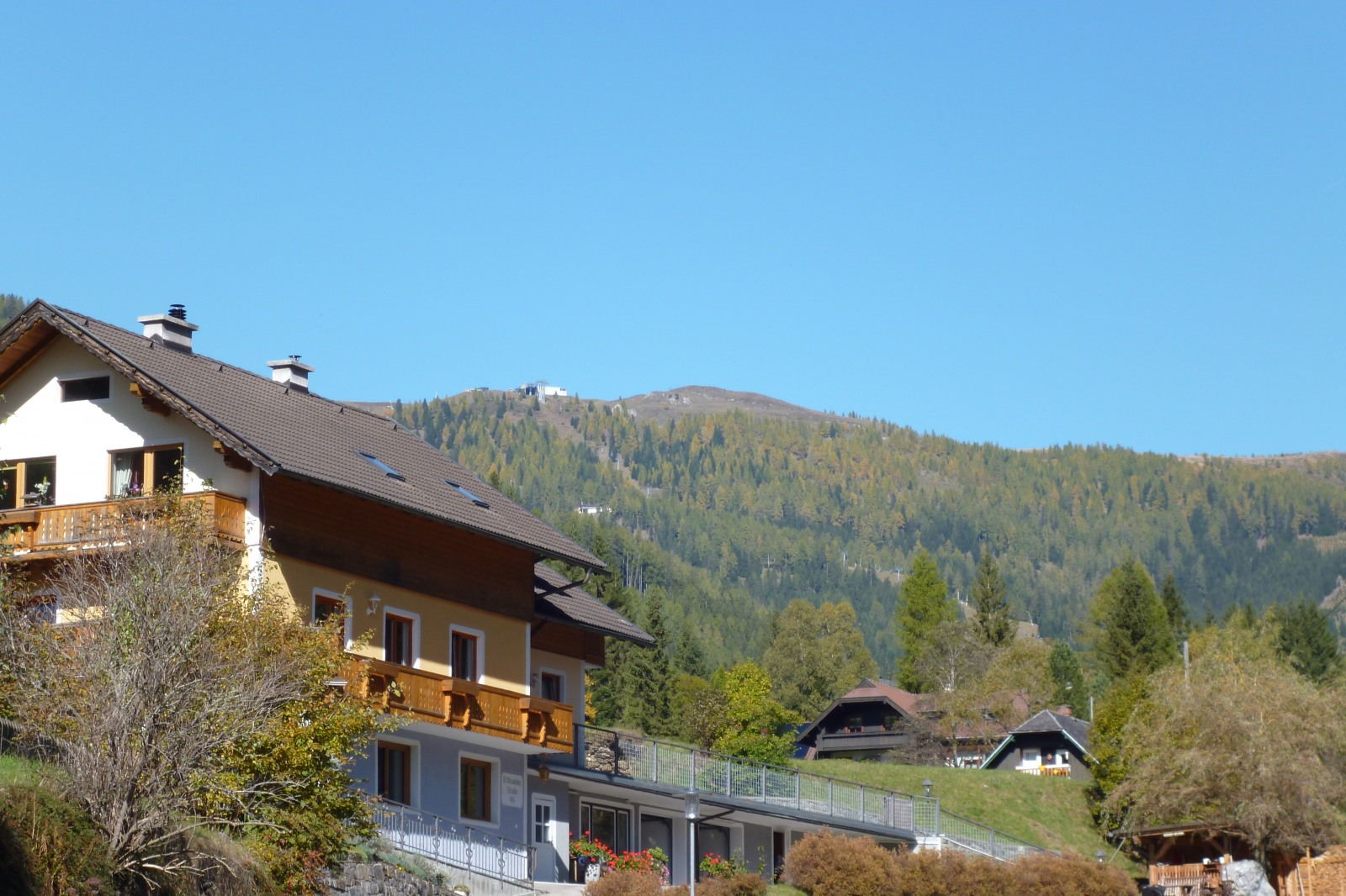 252399-p1010552.jpg