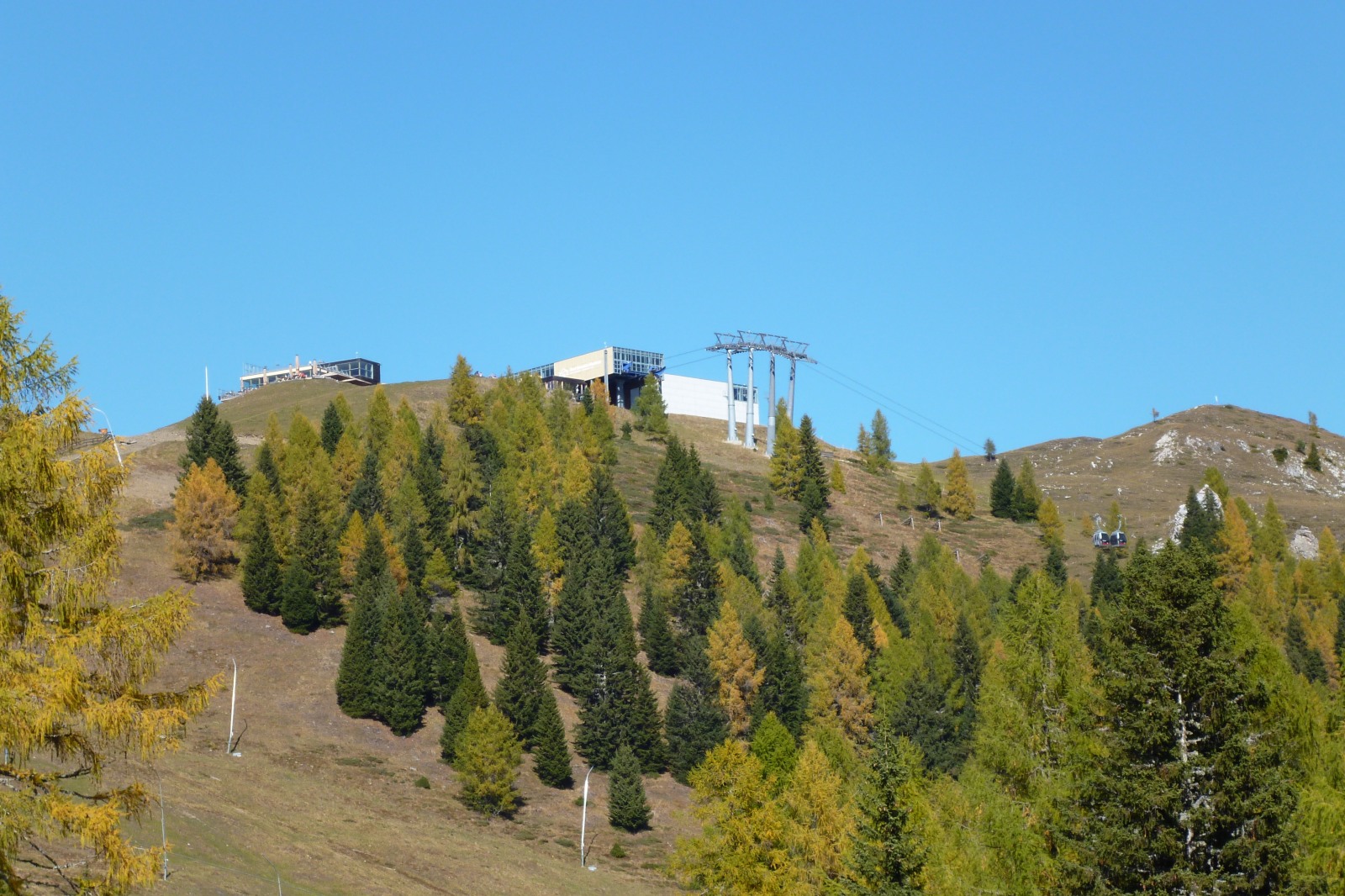 252404-p1010578.jpg