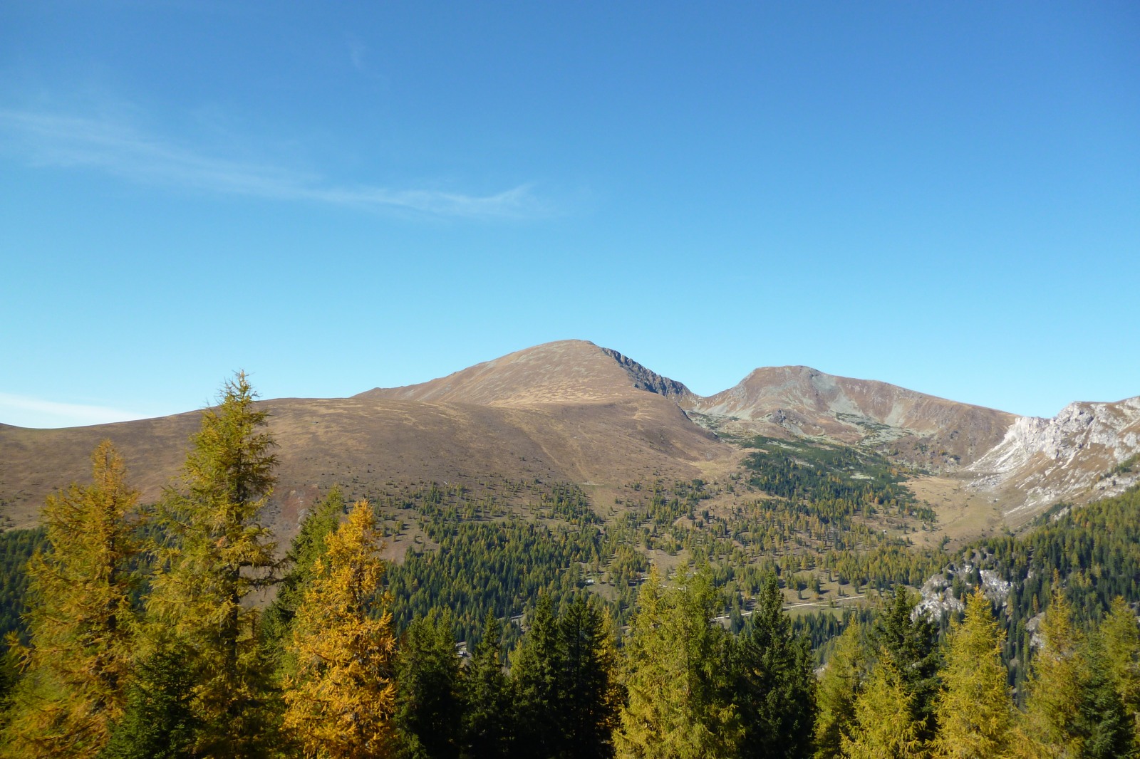 252413-p1010604.jpg