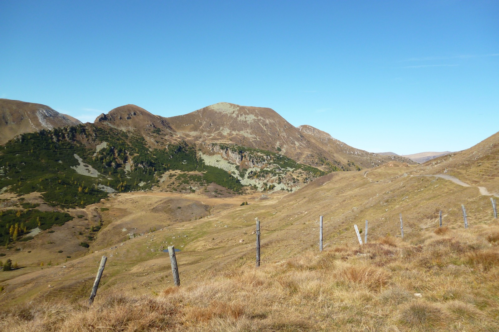 252420-p1010611.jpg