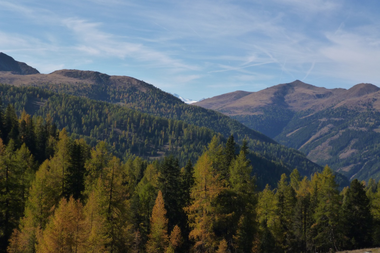 252703-p1010648.jpg