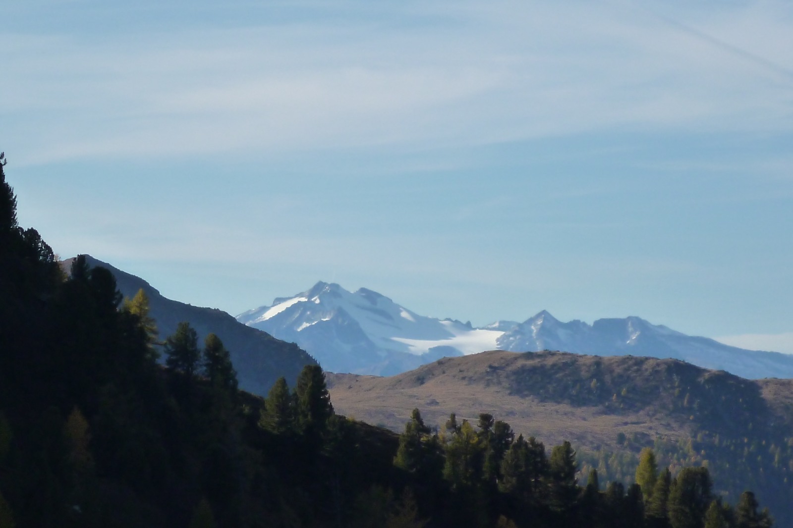 252704-p1010661.jpg