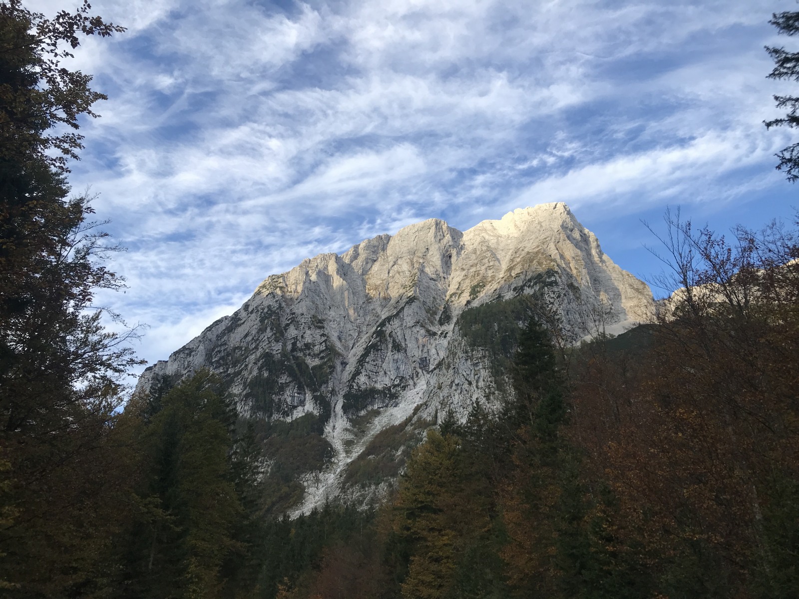 252987-img3196.jpg