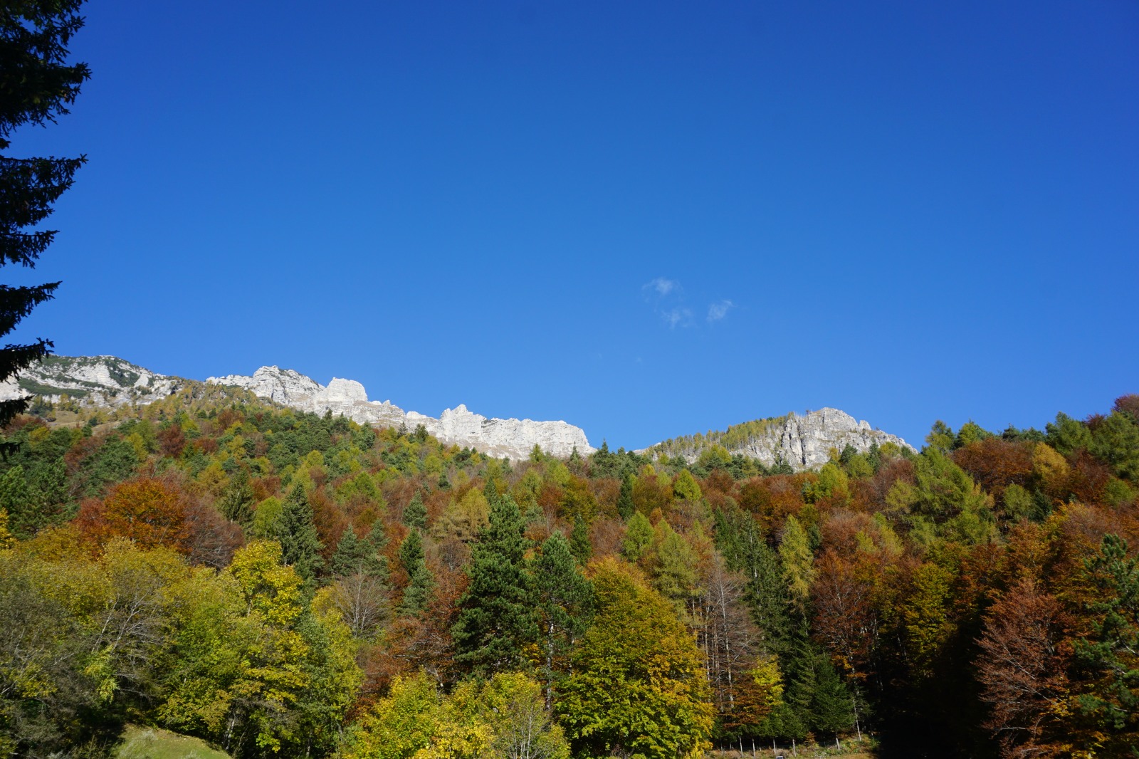 299603-dsc02512.jpg