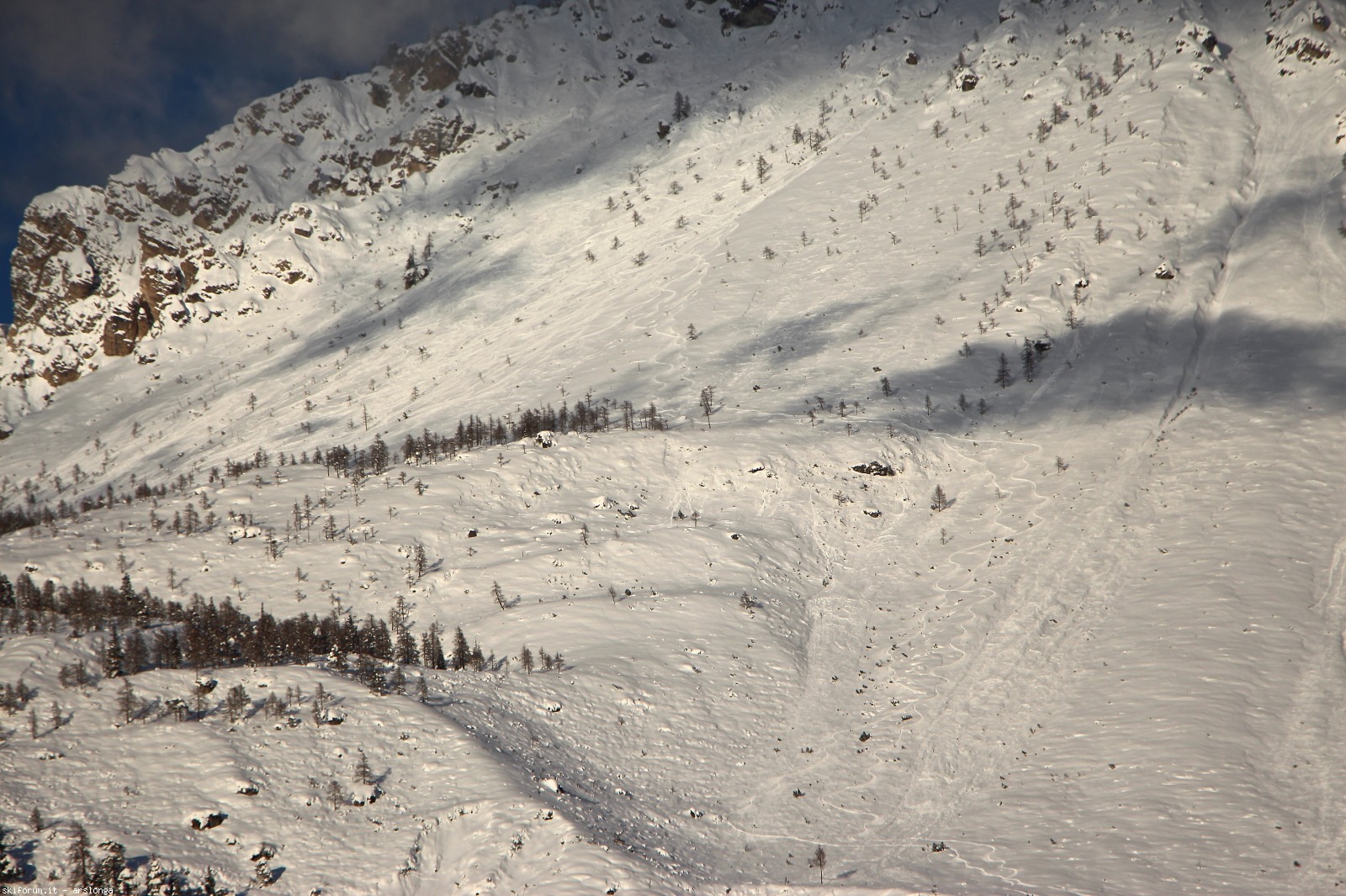 220464-img9315.jpg