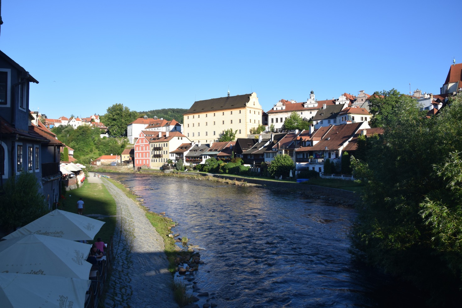 218348-dsc0231.jpg