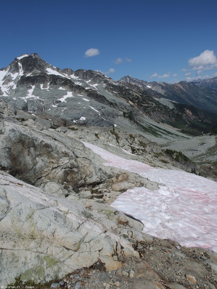 218556-p7221625.jpg
