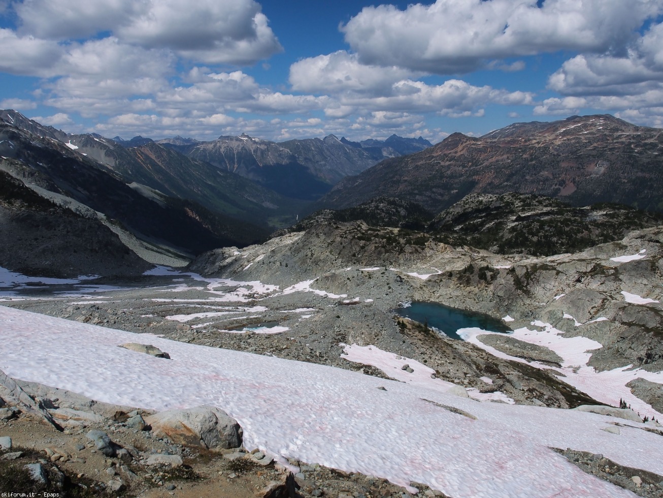 218570-p7221667.jpg