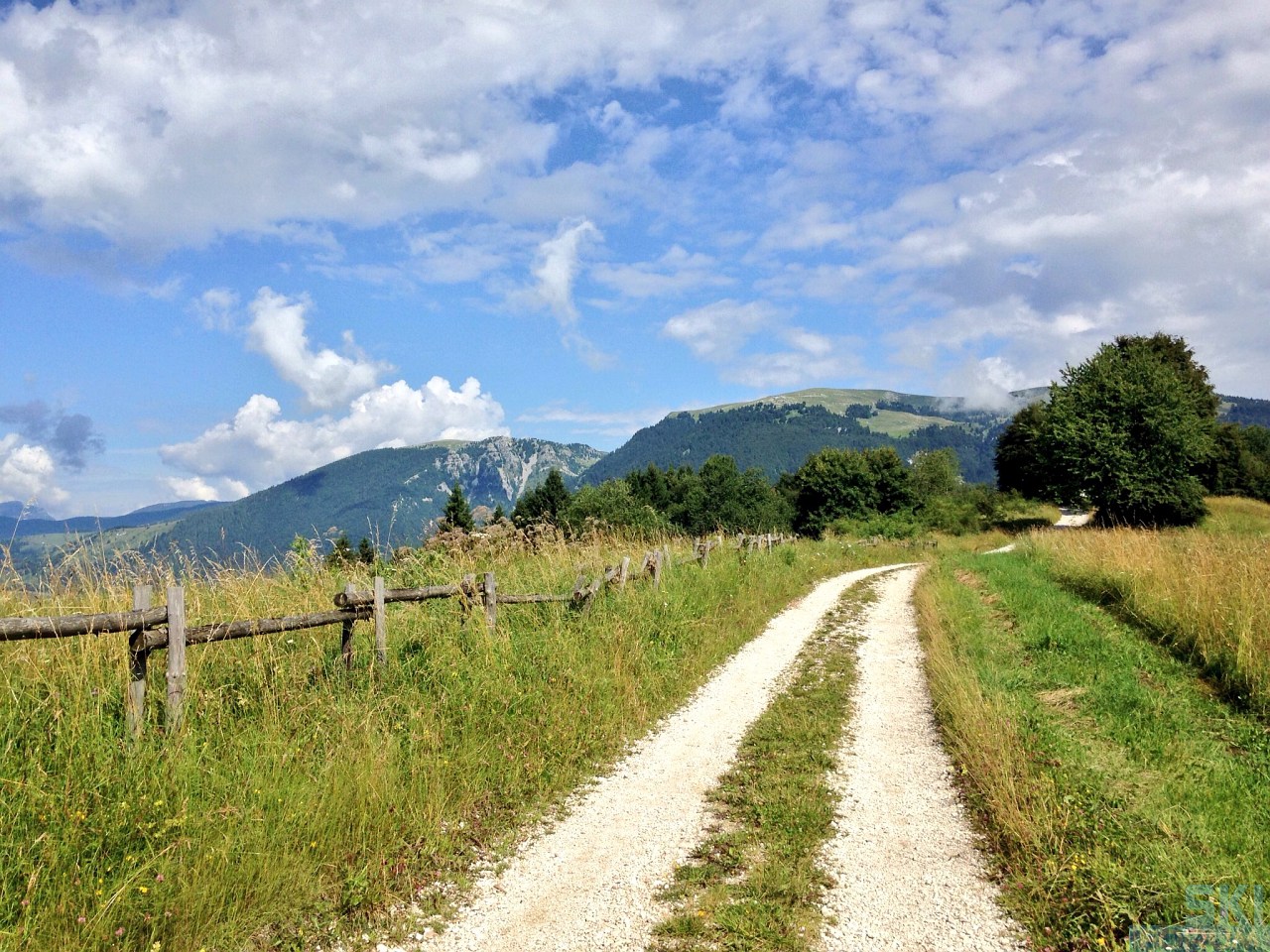 218697-pierinozuanna-04.jpg