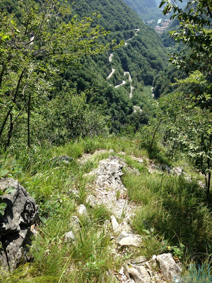 218698-pierinozuanna-03.jpg
