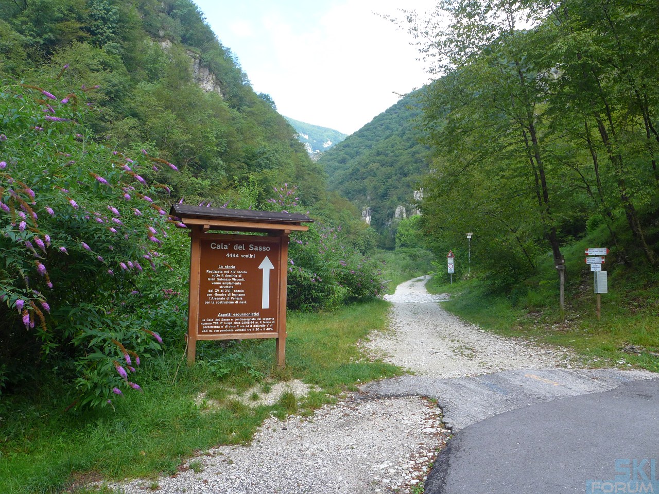 218699-pierinozuanna-05.jpg