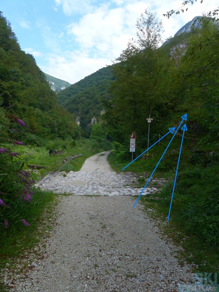 218700-pierinozuanna-06.jpg
