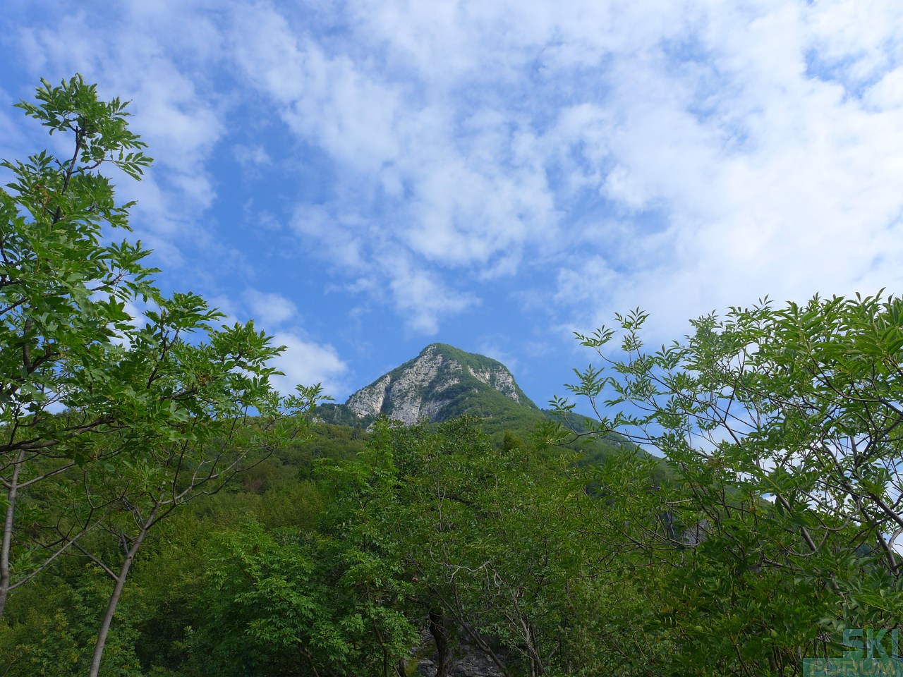 218706-pierinozuanna-12.jpg