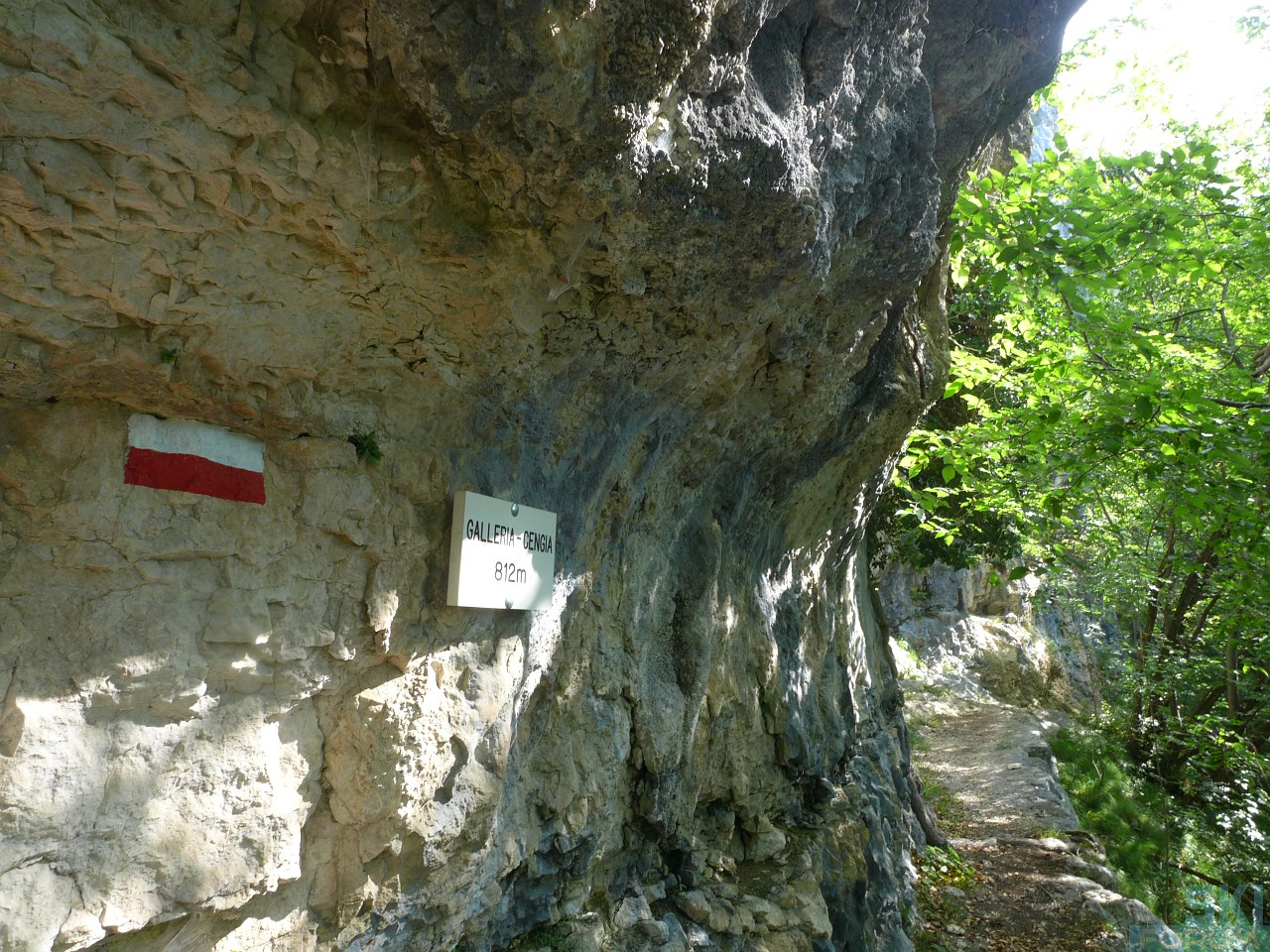 218709-pierinozuanna-15.jpg