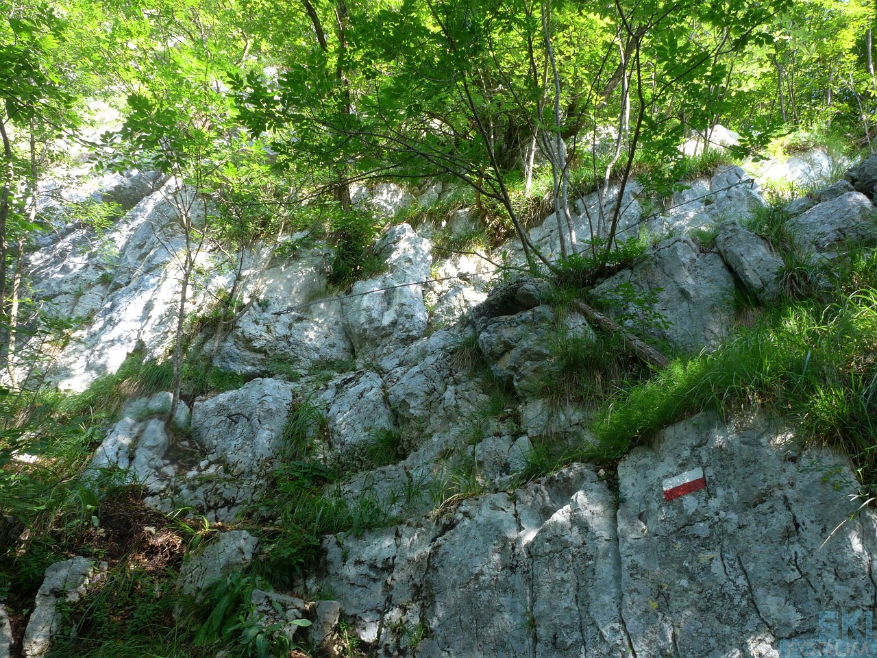 218713-pierinozuanna-19.jpg