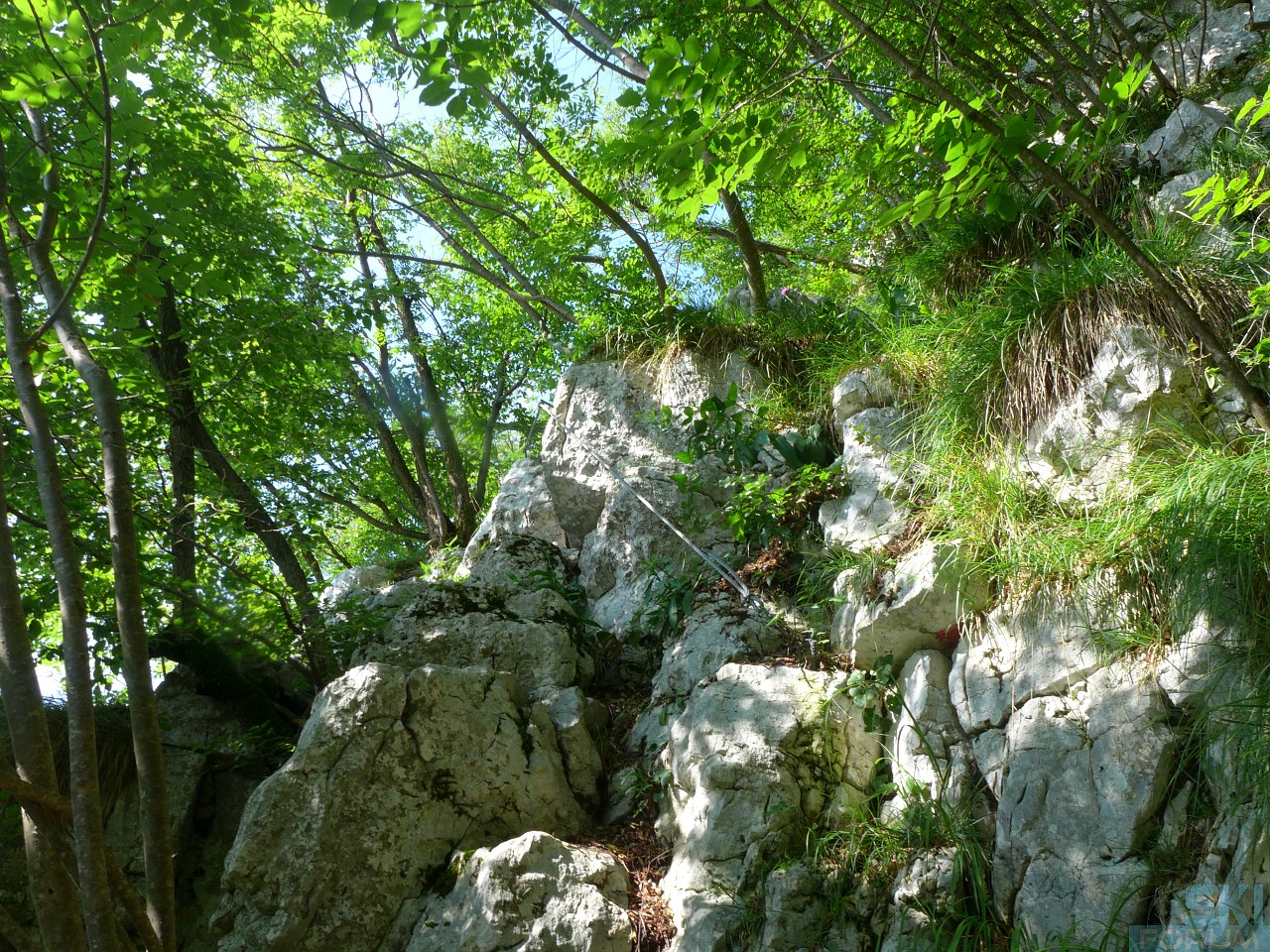 218714-pierinozuanna-20.jpg