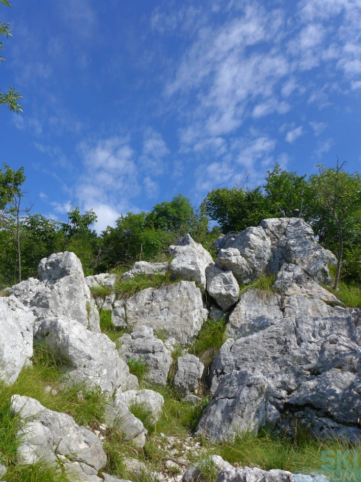 218723-pierinozuanna-29.jpg