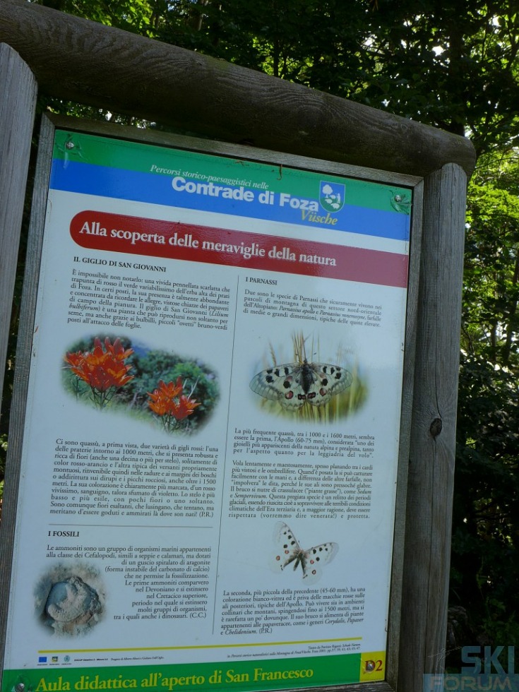 218728-pierinozuanna-34.jpg