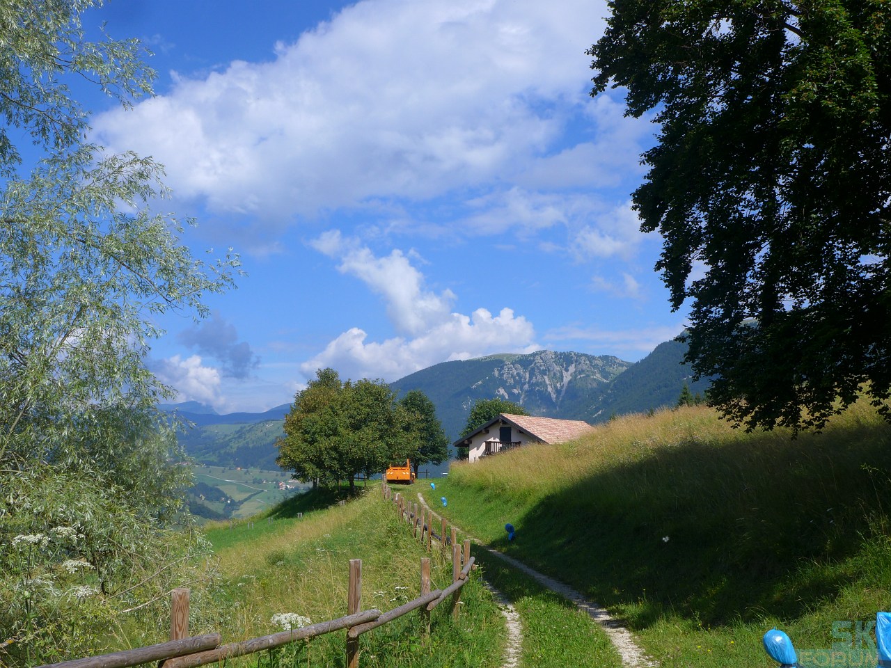 218730-pierinozuanna-36.jpg