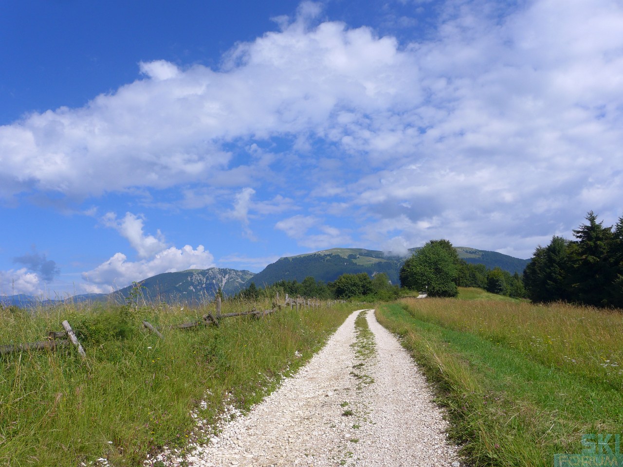 218731-pierinozuanna-37.jpg