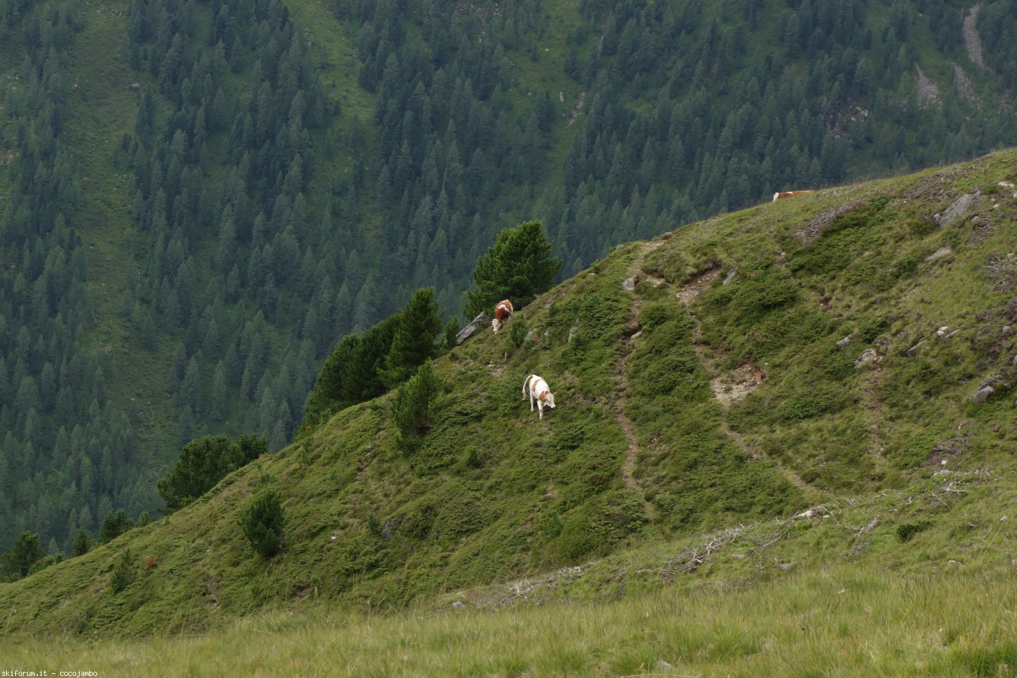 218822-dsc00927.jpg