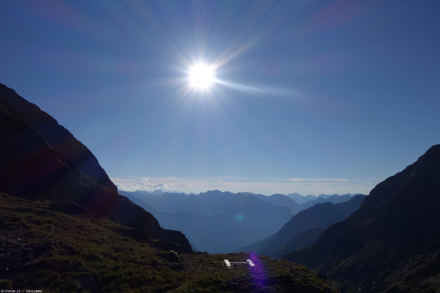 218845-dsc01059.jpg