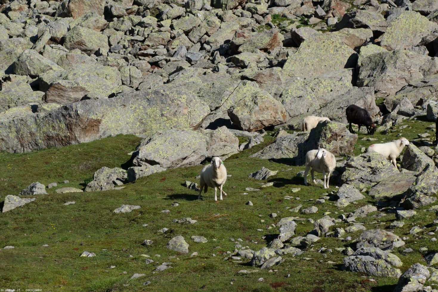 218854-dsc01094.jpg