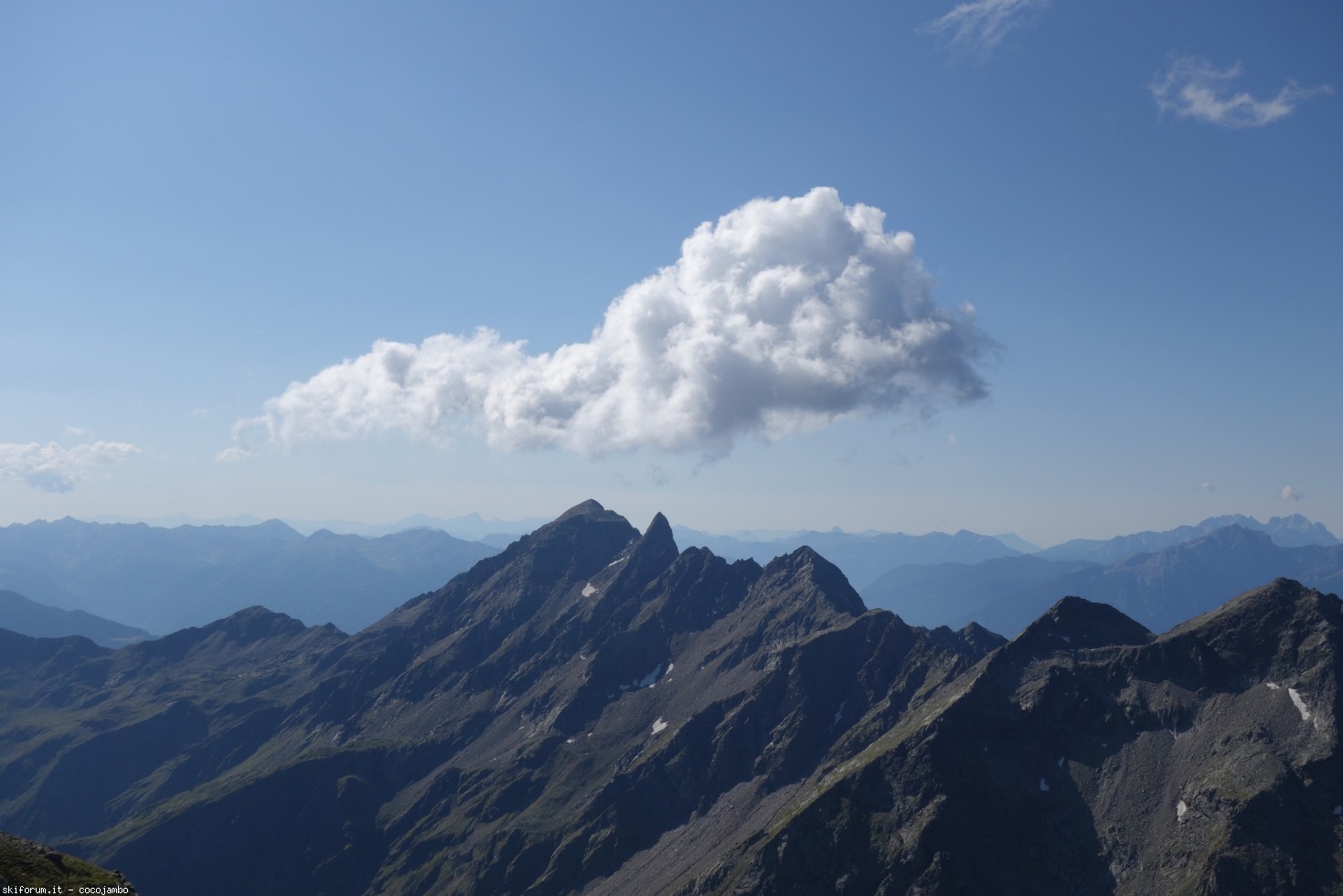 218861-dsc01133.jpg