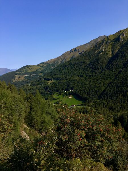 220414-imge2516r.jpg