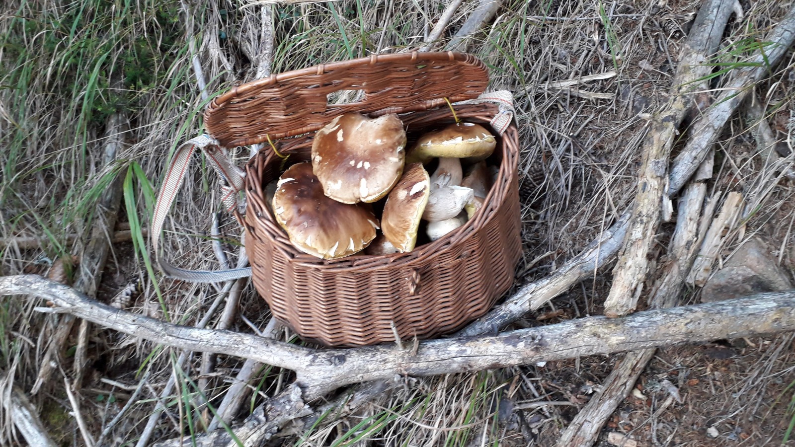 221643-img-20180914-wa0023.jpeg