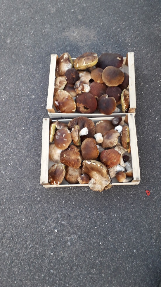 221645-img-20180914-wa0037.jpeg