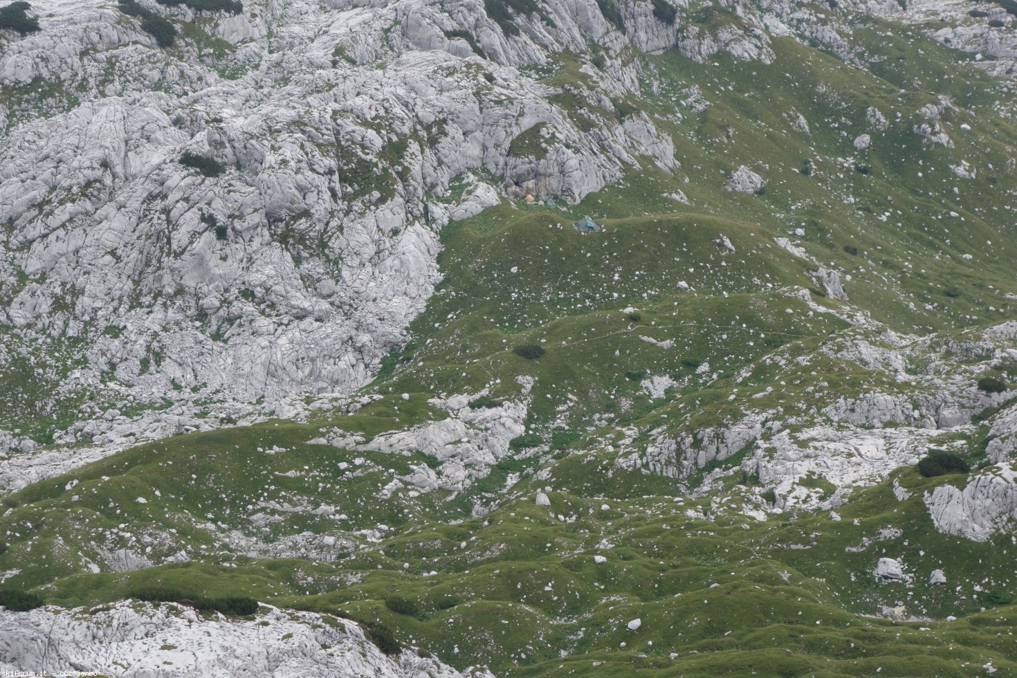 221682-dsc01606.jpg