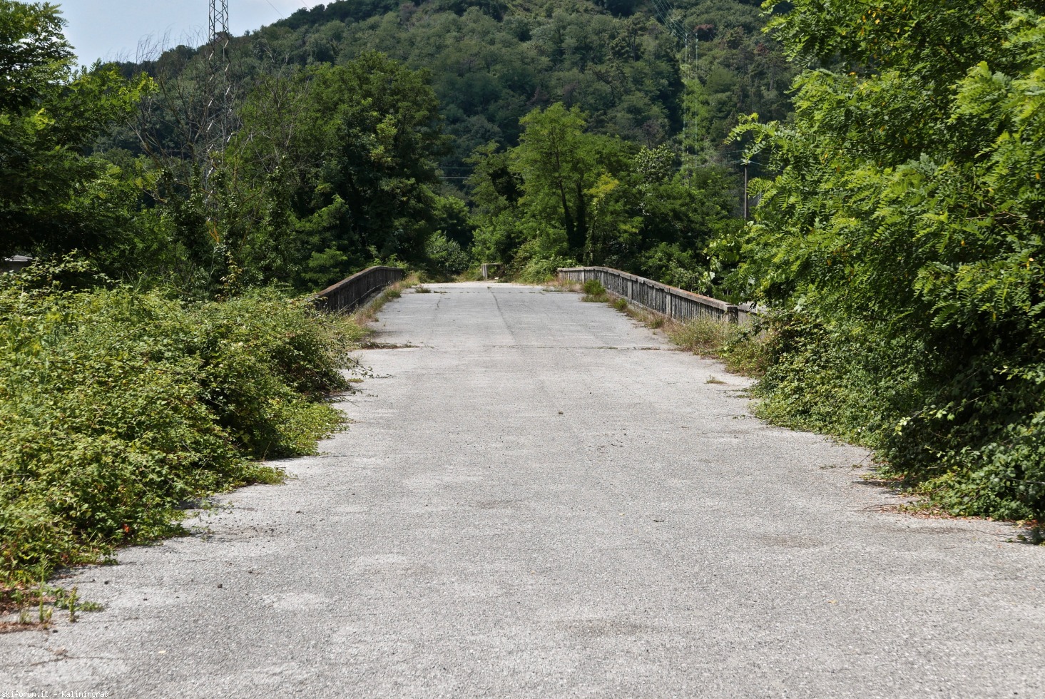 222559-l1010572.jpg
