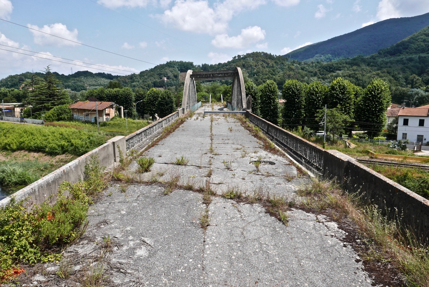 222561-l1010574.jpg