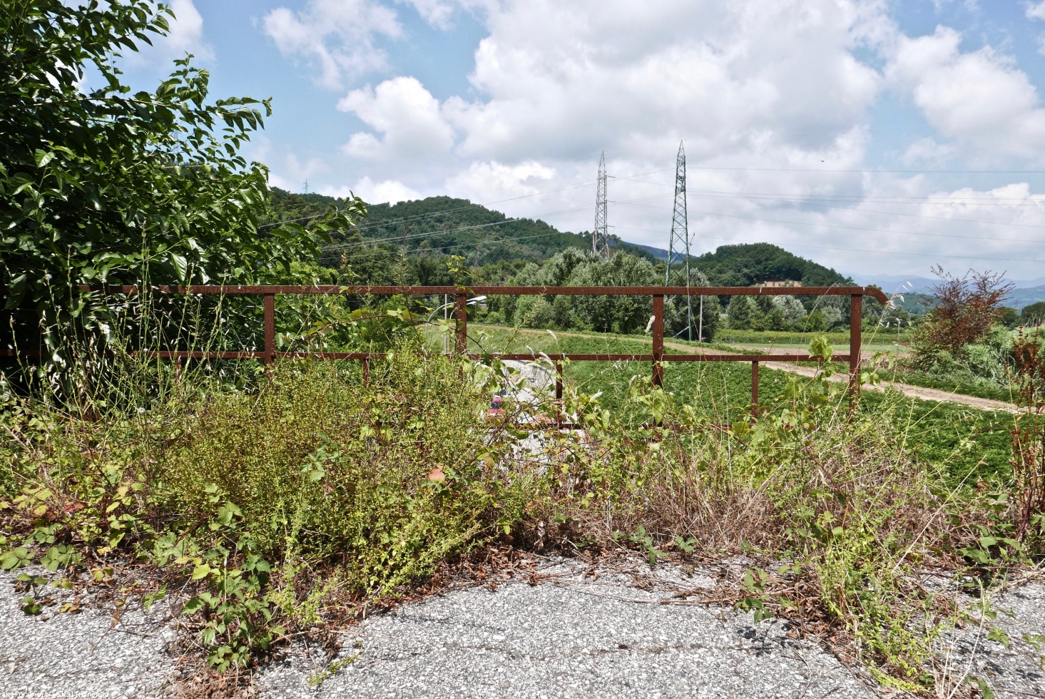 222564-l1010577.jpg