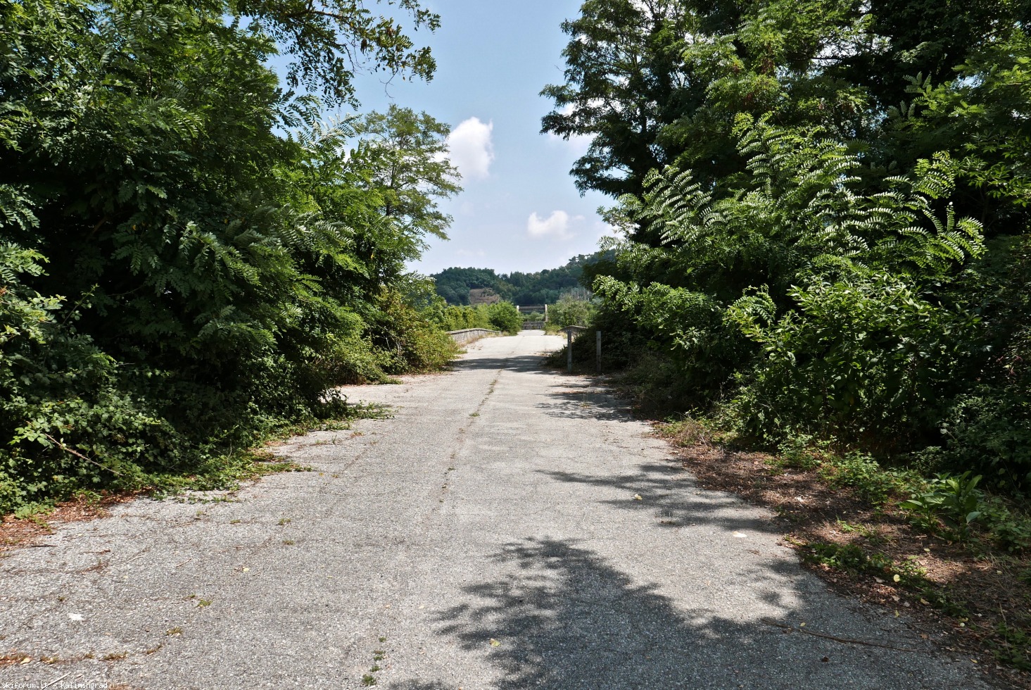 222566-l1010579.jpg