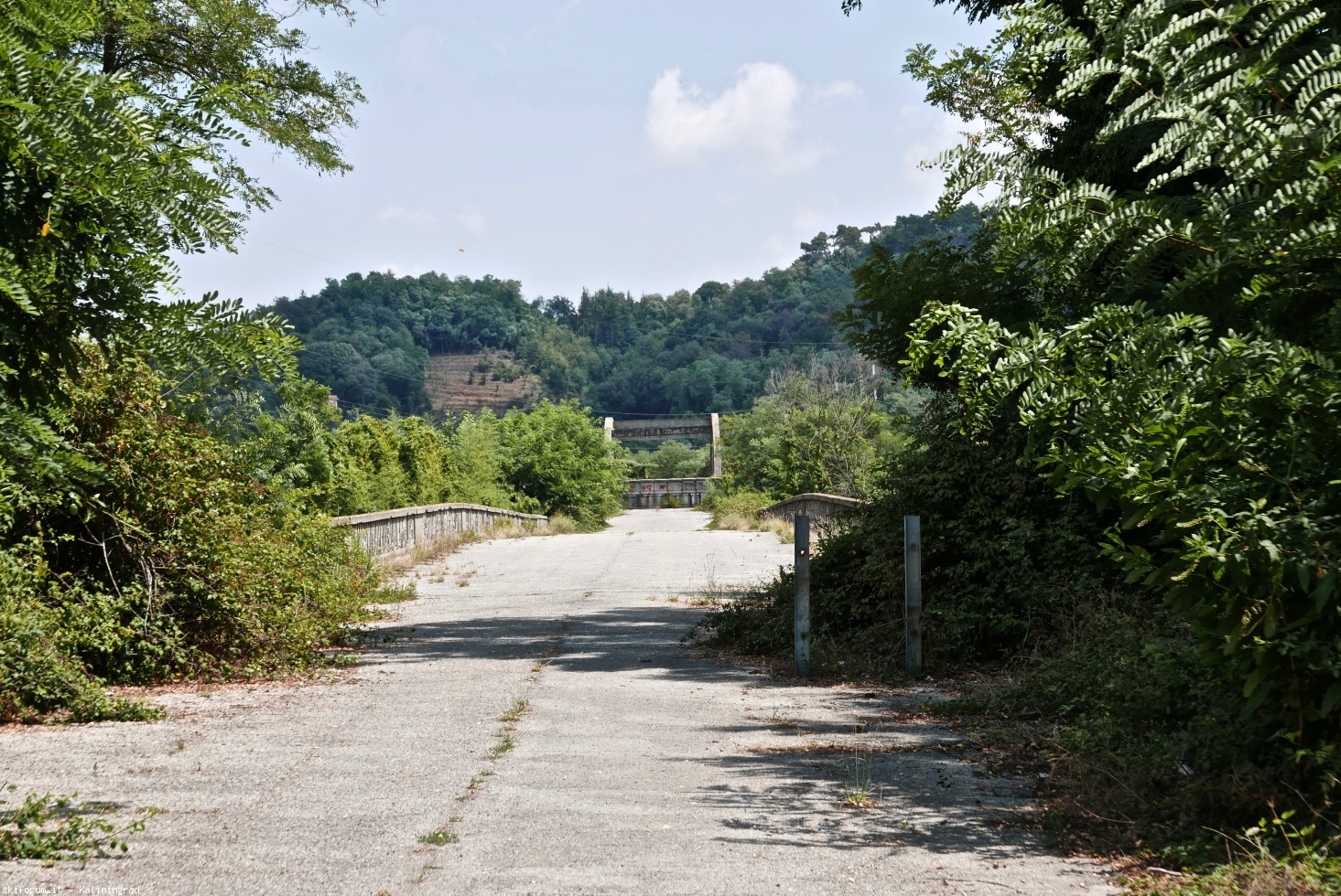 222567-l1010580.jpg