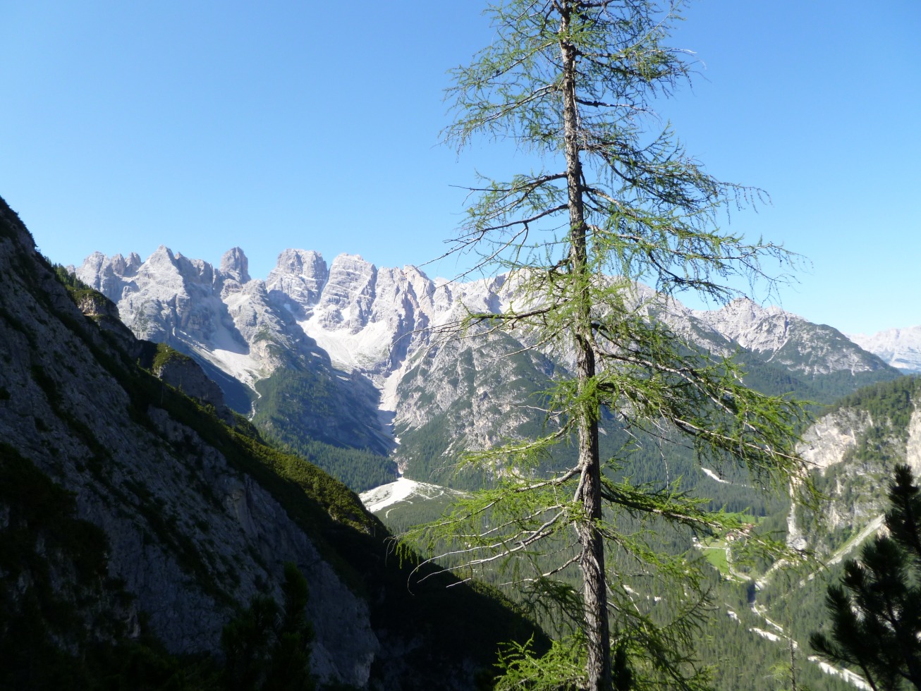 223478-p1020536.jpg