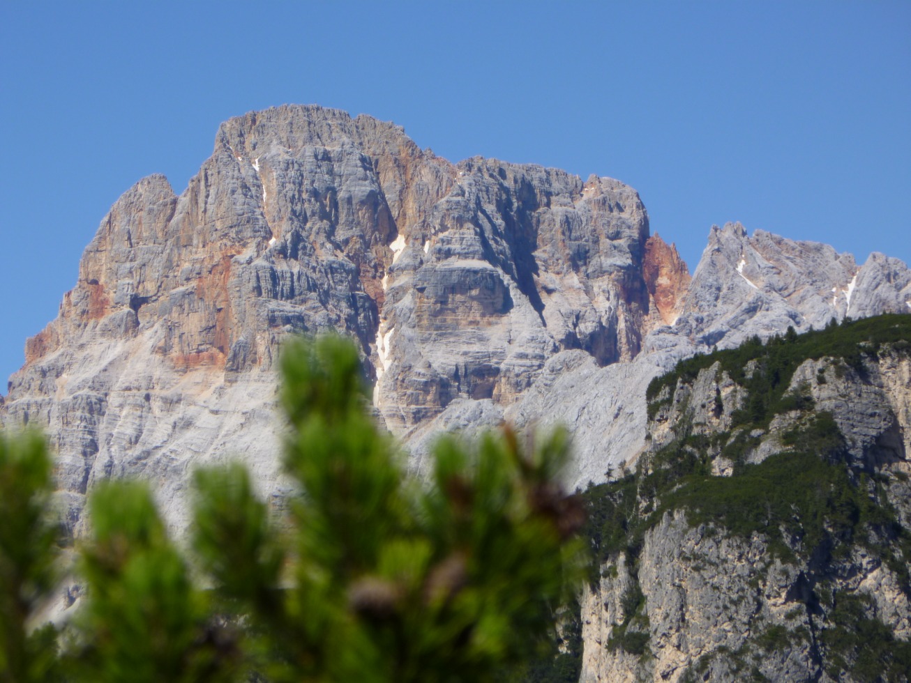 223482-p1020546.jpg
